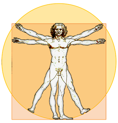 Vitruvian Man reference (170 cm)